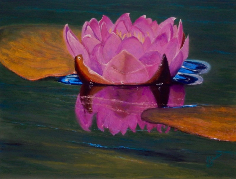 Pink Ribbon Lily by artist Joycelyn Schedler